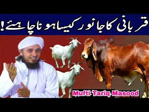 download lagu mp3 mp4 Qurbani Ka Janwar Ki Sharait, download lagu Qurbani Ka Janwar Ki Sharait gratis, unduh video klip Qurbani Ka Janwar Ki Sharait