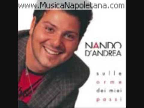 nando d'andrea liberi