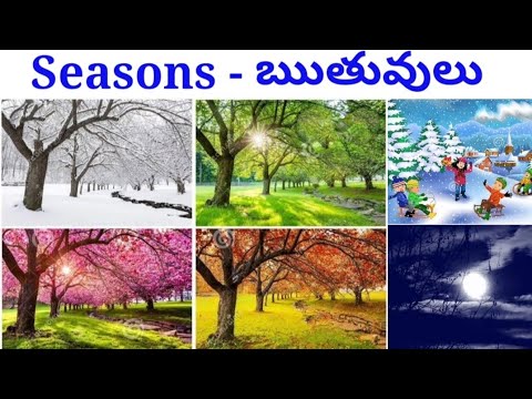 ఋతువులు వాటి పేర్లు - names of seasons