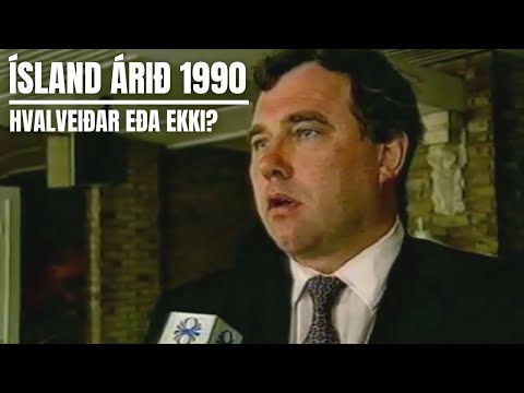 Ísland árið 1990 -  Deilt um hvalveiðar Íslendinga