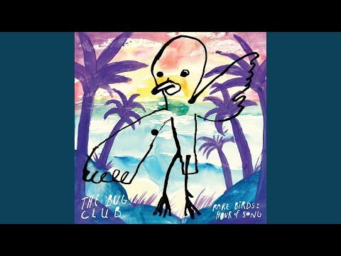 Cheap Linen - The Bug Club