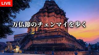 【神回】万仏節（マカブーチャ）のチェンマイを歩く