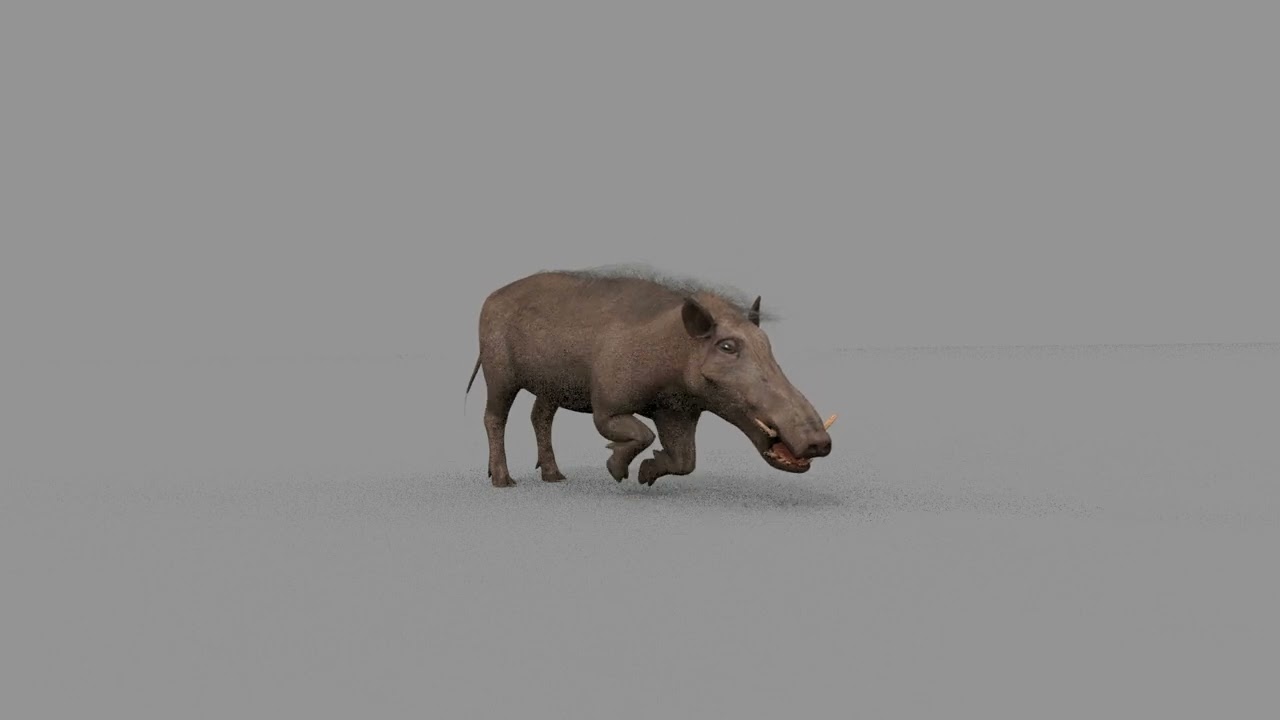 Warthog African pig - animated 3d fur model 3D Model