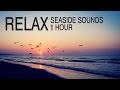 صوت البحر بدون موسيقىى : صوت الامواج,صوت البحر والطيور - اصوات الطبيعة - ساعة كاملة -seaside sounds mp3 صوت البحر بدون موسيقىى : صوت الامواج,صوت البحر والطيور - اصوات الطبيعة - ساعة كاملة -seaside sounds mp3