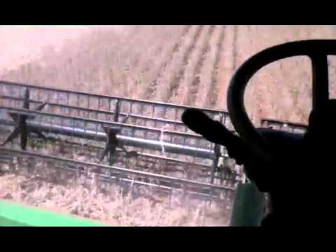 Soja Safra2016 faz.jaraguá