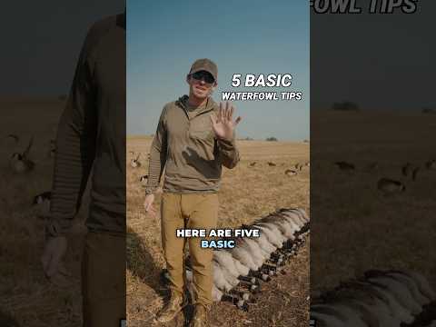 5️⃣ GRUNDLEGENDE WASSERVÖGEL-TIPPS! #Entenjagd #Gänsejagd #Wasservögel101 #Wasservögeltipps