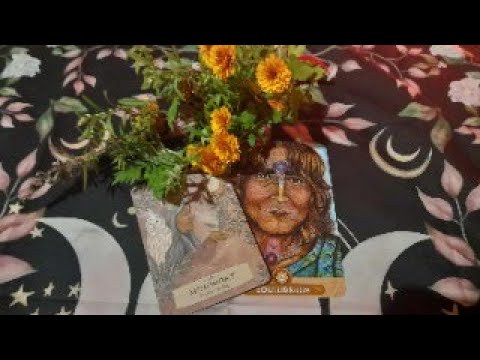 2025.11.11. - Álmodjunk új világot! Békemeditáció Zentai Annával