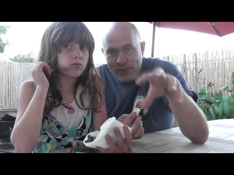 Astronaut Ice Cream - Bonus Video