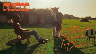 Pigeon - Black James Dean video