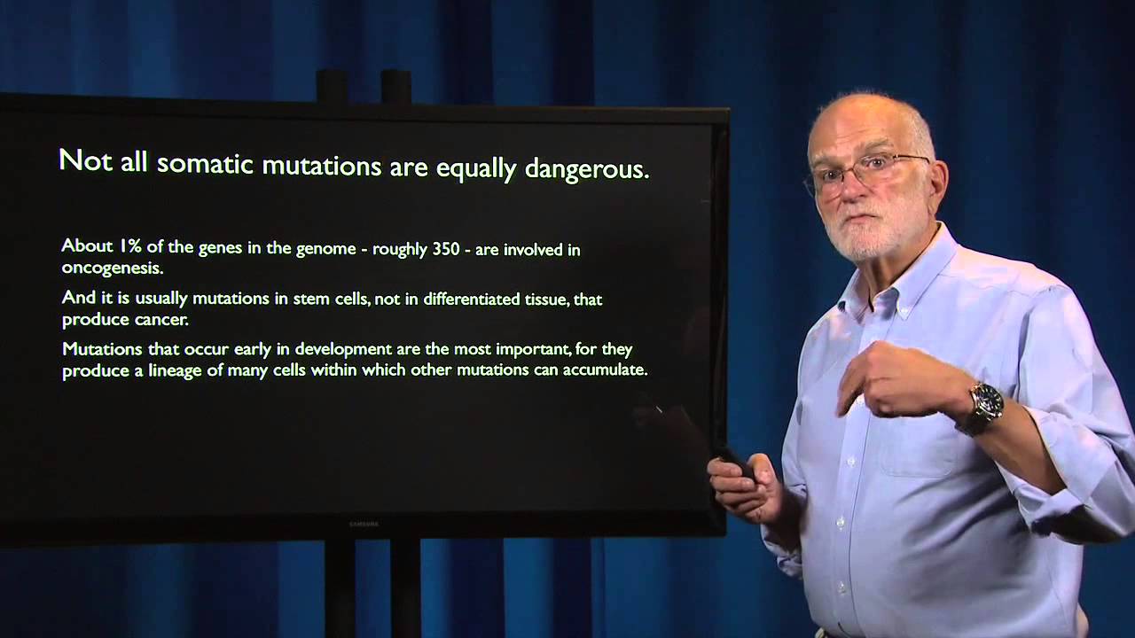 Cancer: Why We Are Susceptible