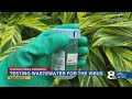 Ringling College In Sarasota Testing Dorm Wastewater For COVID 19