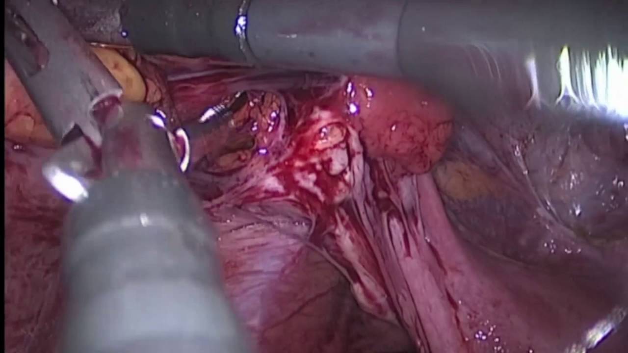 Henry Octavio Rodríguez Daza-14