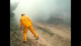 preview picture of video 'Pelitli Mahallesi Yayla Yolu Altı Orman Yangını'