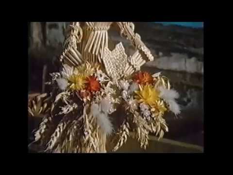 Look Stranger - A Vision of Wiltshire (Robin & Heather Tanner) 1987