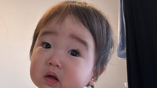 ベビーフード週間