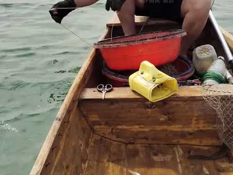 Fishing on boat Ep062