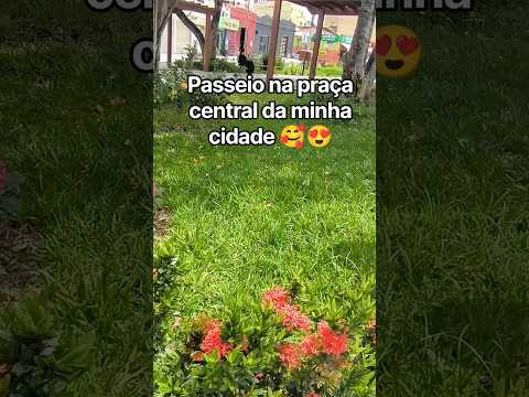 Minas Gerais: Descubra a alma das pracinhas do interior.