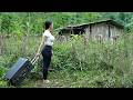 Must watch Talented girl returned to her parents' garden built a farm - Building wooden house DEFAULT Thumbnail