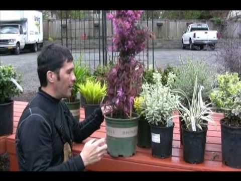 Try one of these on for size!