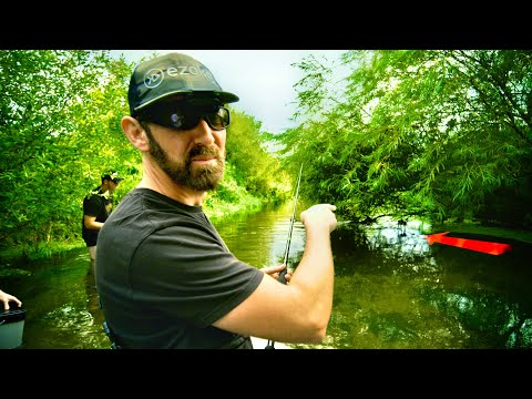 BACH voller MONSTERFISCHE - Ihr glaubt nicht was unter diesem Baum steht!