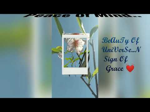 Flowers | Beautiful Flowers | Spring | Incredible Flowers WhatsApp status | Botany | jiya's world 🌸