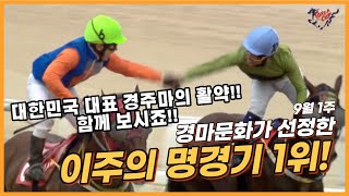 [경마 명승부]서울8R 현존 국가대표 ‘위너스맨’ 코리아컵 제패