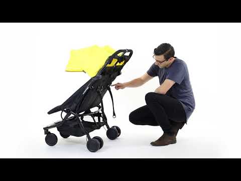 nano buggy duo