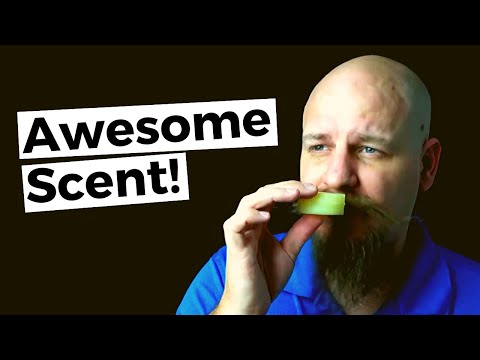 What's the scent of our Noah's Organic Shave Soap (Puck)