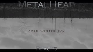 METALHEAD REACTS to &quot;Cold Winter Sun&quot; by Demon Hunter