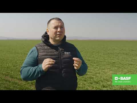BASF Agro Patrola 2022 – Primenite herbicid Biathlon® za pravilnu zaštitu pšenice