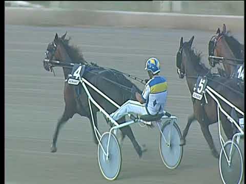 Trotto 01/09/2017 - 7ª corsa