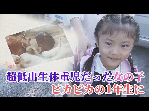 未熟児にたくさんの触れ合いが必要な理由