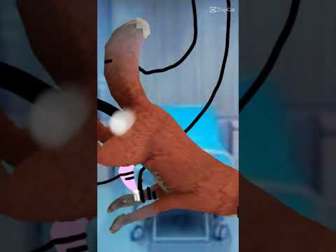 for cherry the heat fox