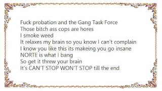Sex, Drugs, Rap & Roll Music Video