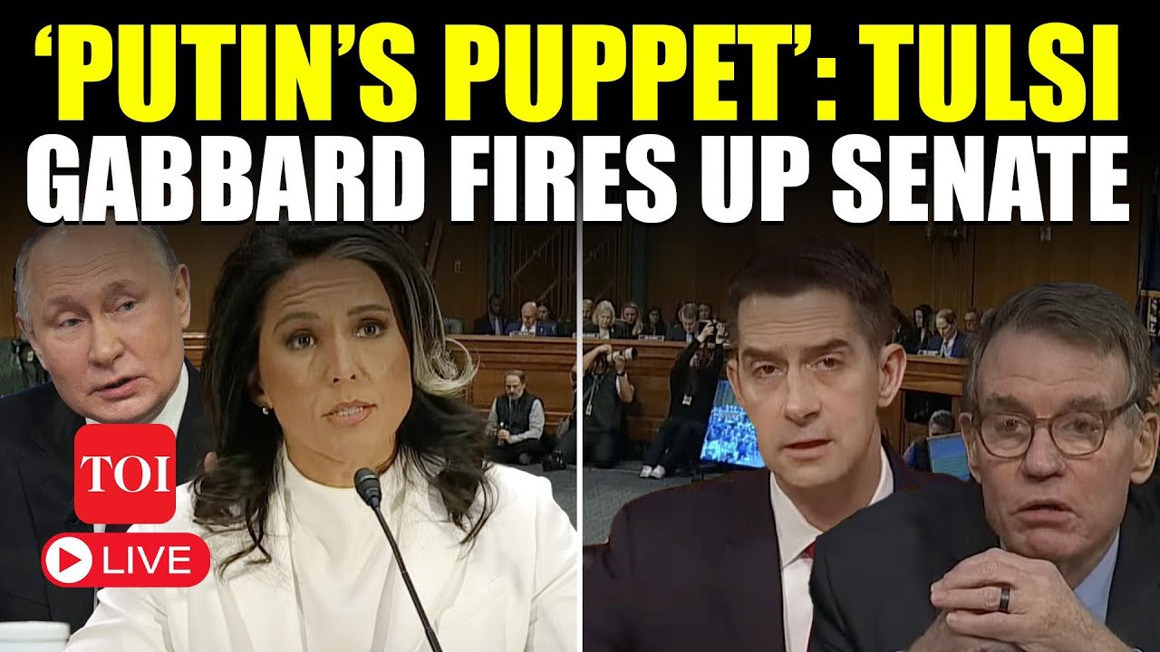 LIVE | Tulsi Gabbard’s Fiery Response Stuns Senators: ‘Never Trump Supporter’ | trump Latest News