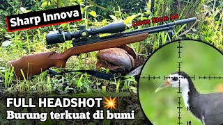 Download lagu Berburu ruak-ruak pakai uklik innova mp3