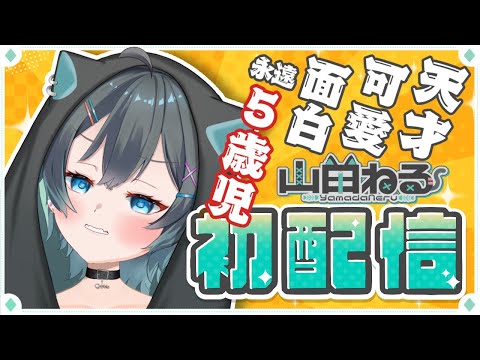 デビュー配信
