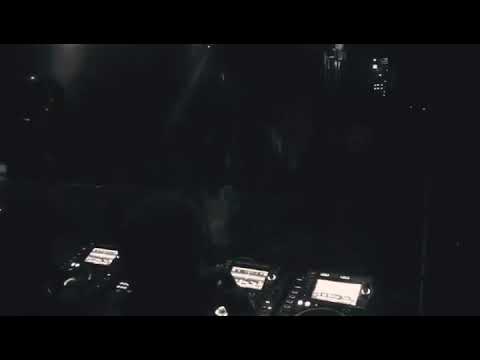 Wild Dark in Brooklyn, NY