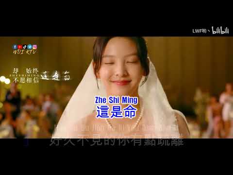 Zhang Yuan 張遠 - Jia Bin 嘉賓 KTV [KARAOKE] [NO VOCAL]