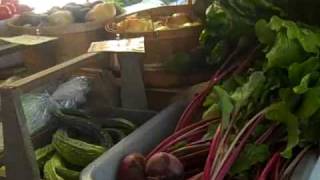 preview picture of video 'Vashon Island Farmers Market'
