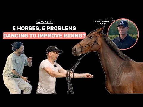 Camp TRT - S1E3 | How to become the right MENTOR for your horse
