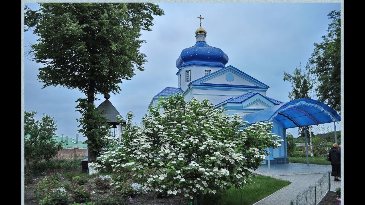 Полезное видео