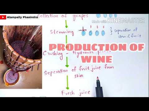 Preperation of wine by fermentation in industries | Production of wine | Grape wine | Bio science