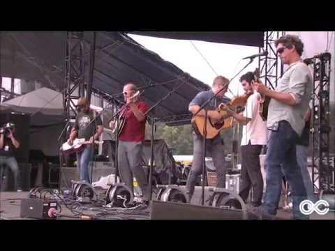 Love Canon at Lockn' 2015: Money For Nothing (Bluegrass Cover)