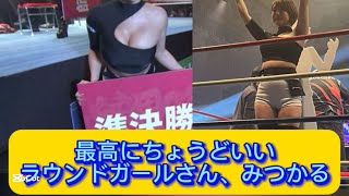 最高にちょうどいいラウンドガールさん、みつかる