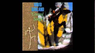 David Garland - I Am With You (1986)