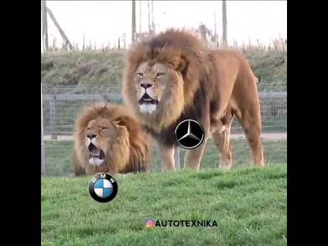 Mercedes vs BMW vs Audi vs VW