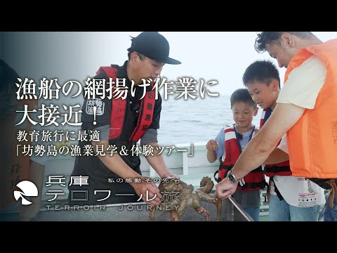 『兵庫テロワール旅』漁船の網揚げ作業に大接近！　教育旅行に最適「坊勢島の漁業見学＆体験ツアー