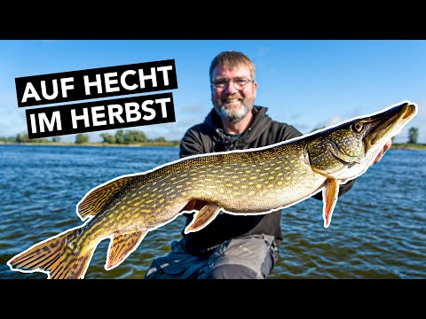 HECHTANGELN im Herbst 🍂 Top Köder & Montage für Fangerfolg! 🎣