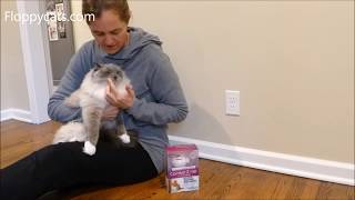 Does Feliway Work? Comfort Zone Feliway Cat Plug-in Diffuser Review - Floppycats
